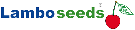 LamboSeeds logo